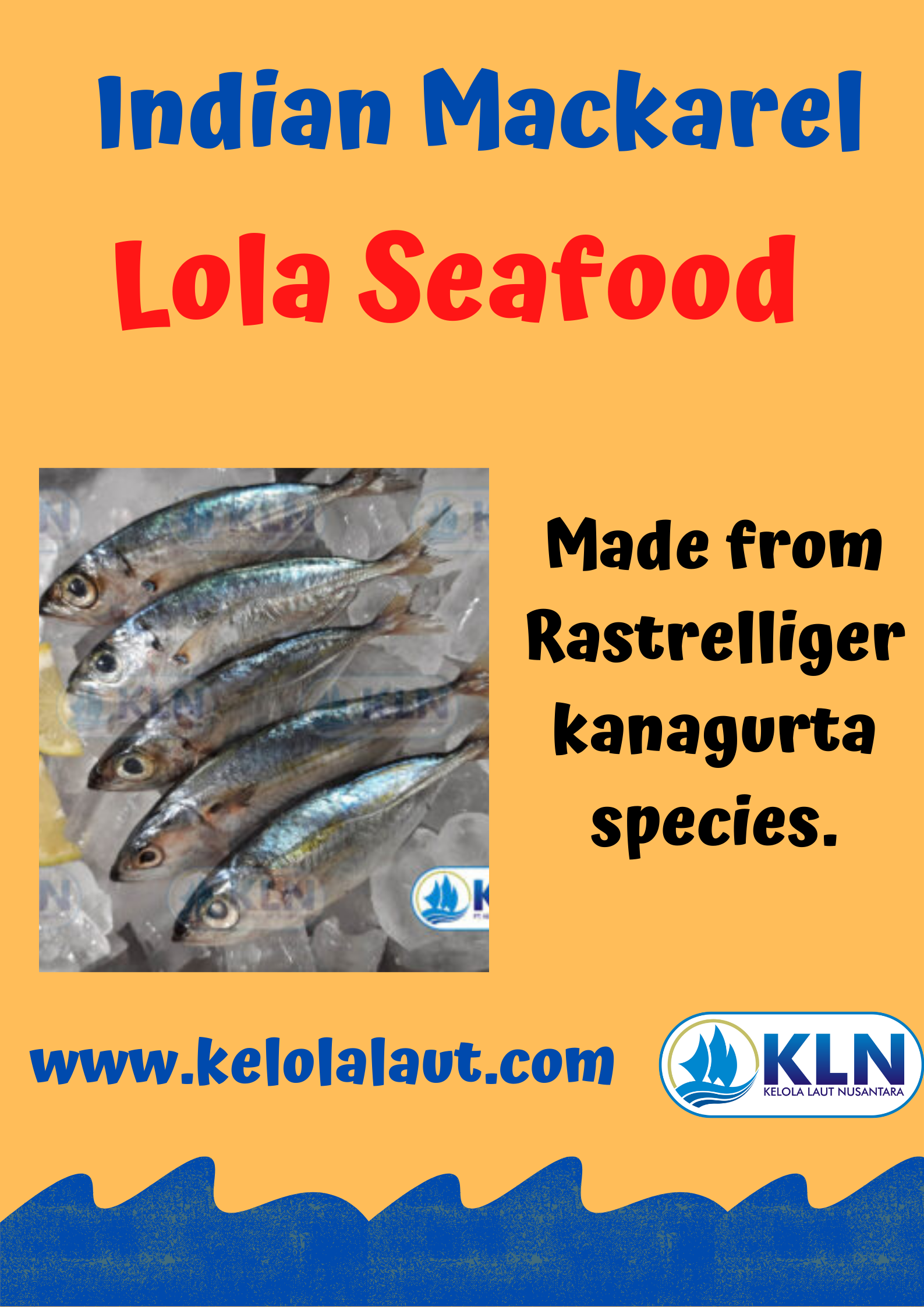 Indian Mackerel is made from raw materials with the type of species Rastrelliger kanagurta.