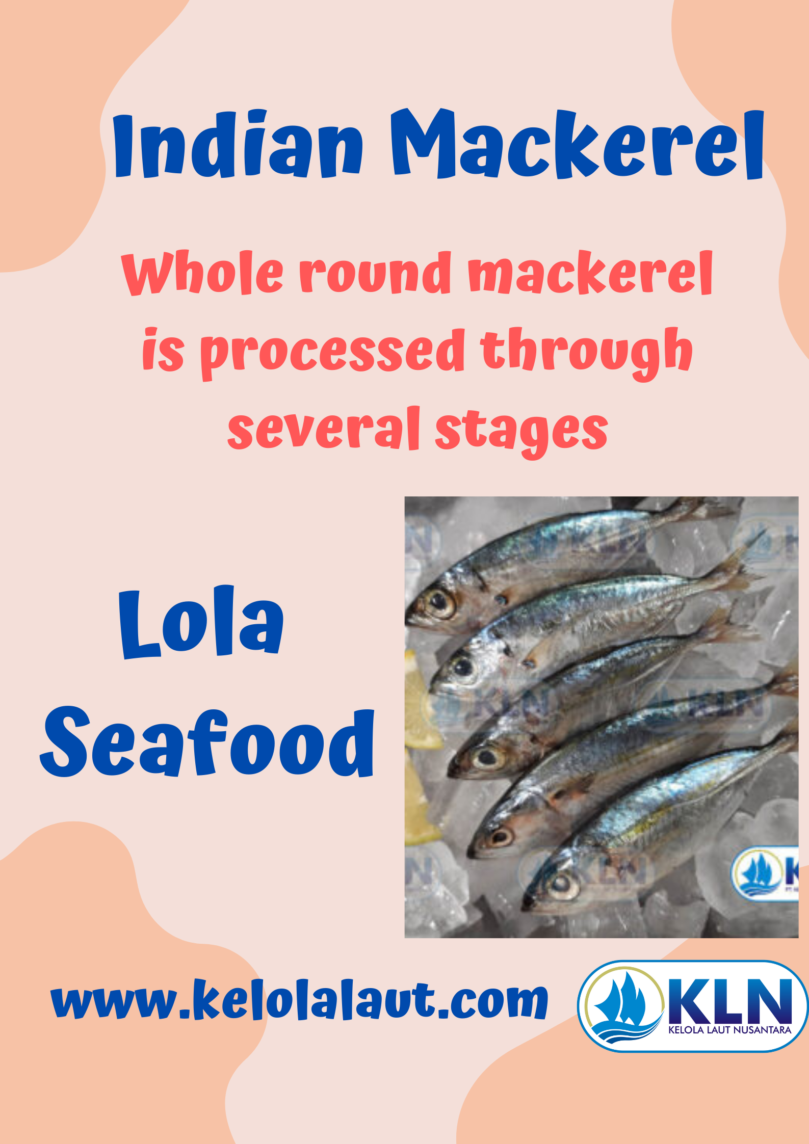 The whole round mackerel is processed through several stages