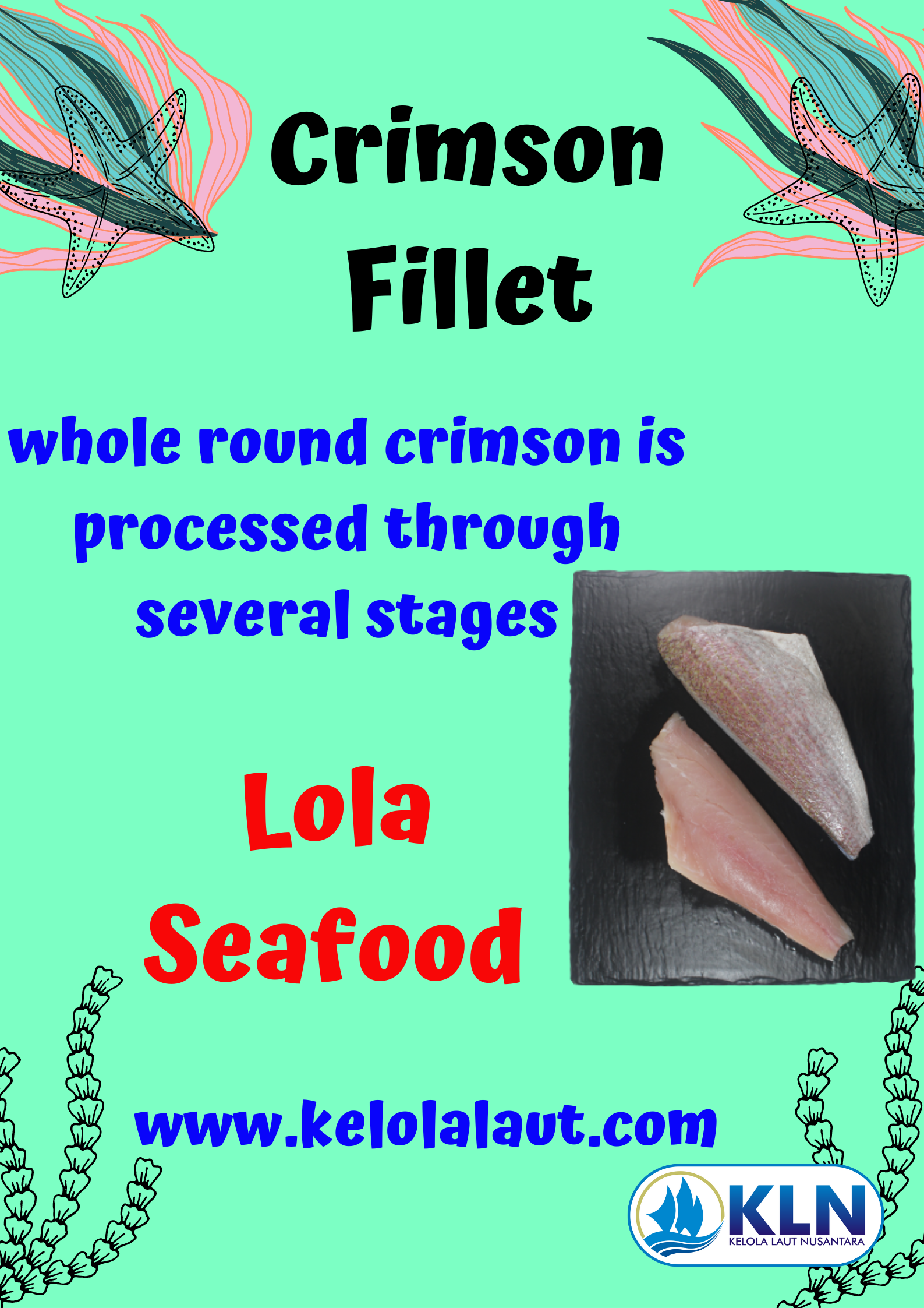 The whole round crimson is processed into fillets through the following stages.