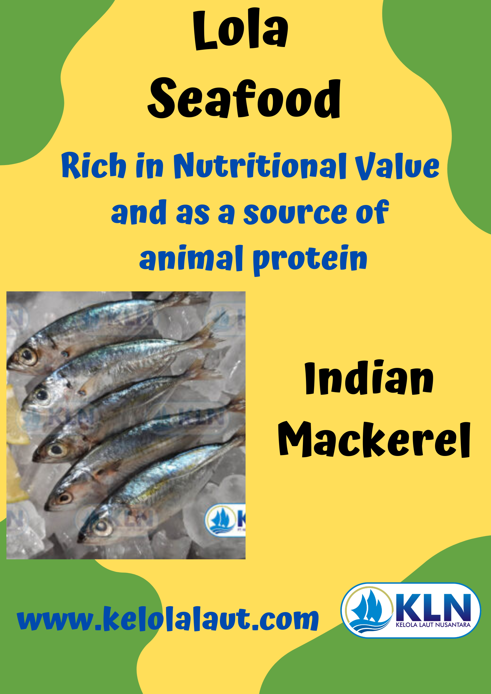 Indian Mackerel is rich in nutritional value and as a source of animal protein.