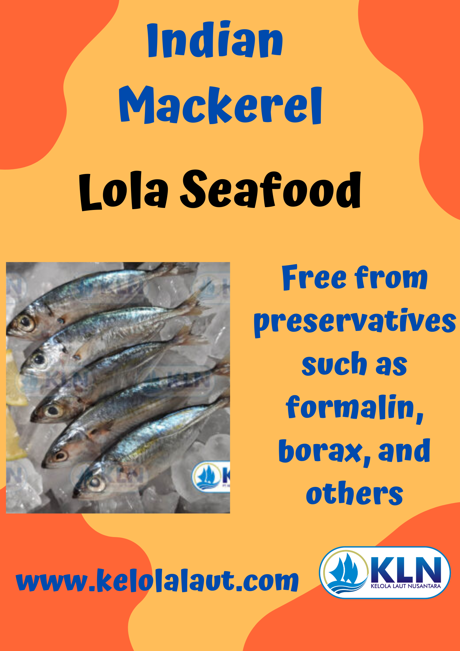 Indian Mackerel is free from preservatives such as formalin, borax, and others.