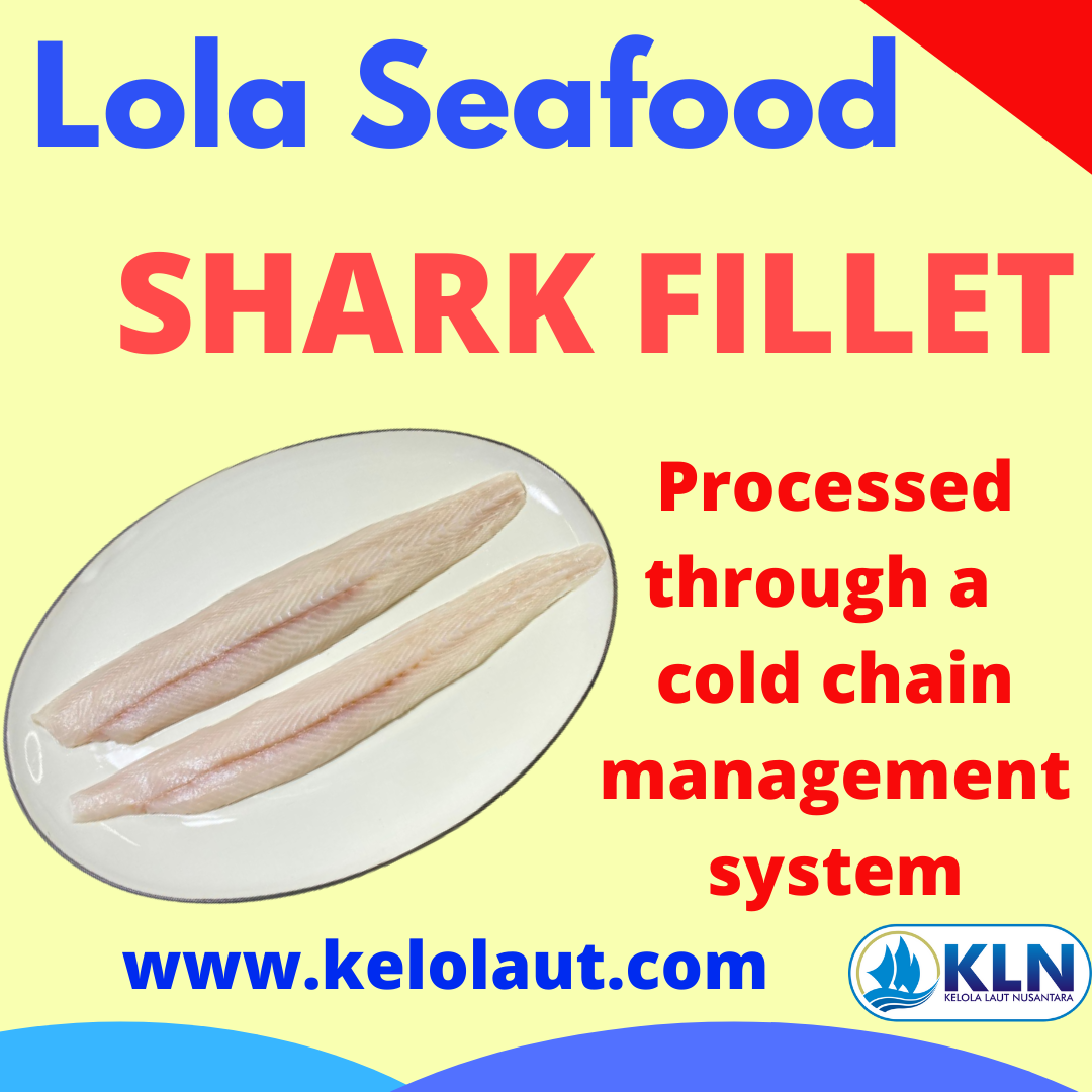 Shark Fillet processed through a cold chain management system