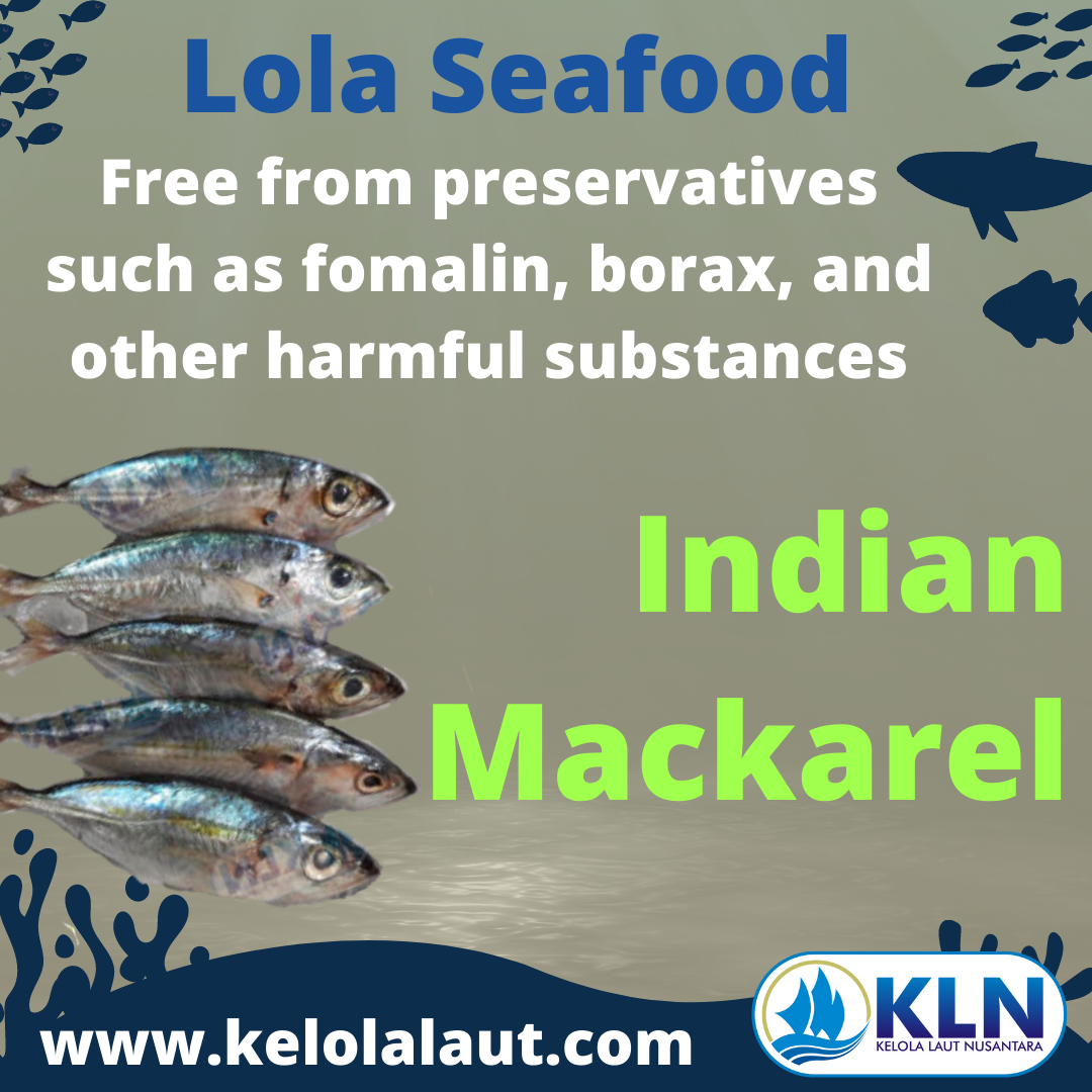 Indian Mackerel fillet free from preservatives such as formalin, borax and other harmful substances.