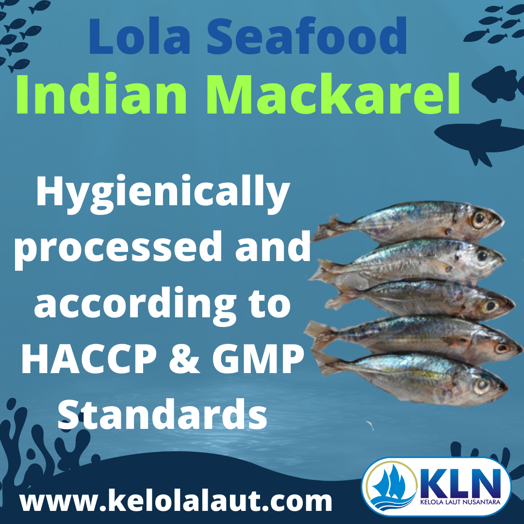 Indian Mackerel Hygienically processed and according to HACCP & GMP Standards.