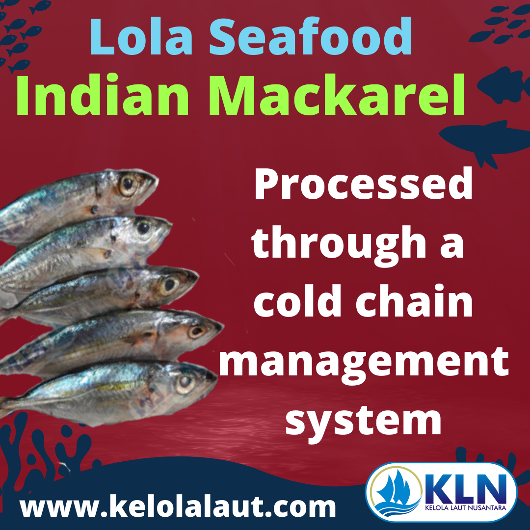 Indian Mackerel processed through a cold chain management system