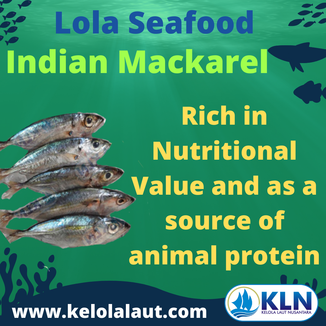 Indian Mackerel are rich in nutritional value and as a source of animal protein.