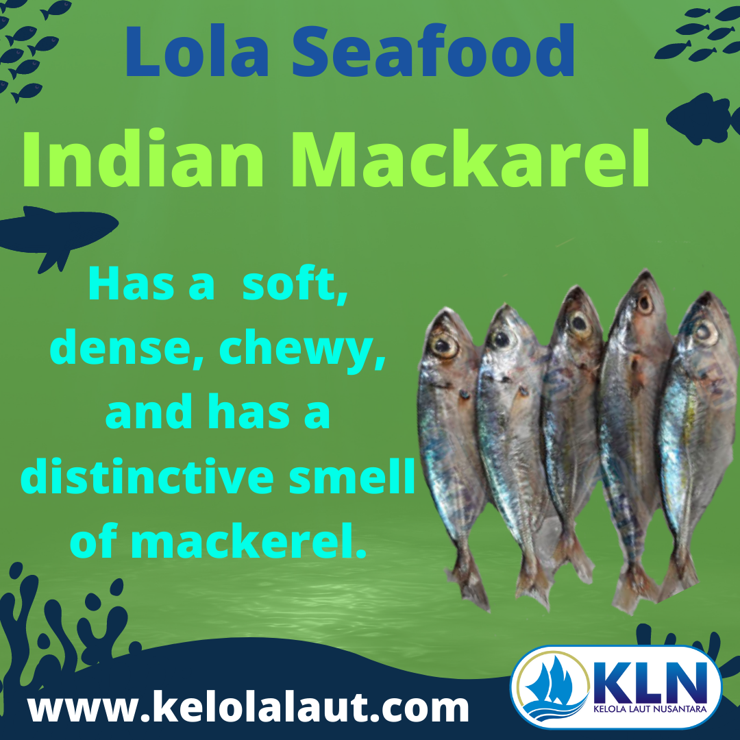 Indian Mackerel texture is  soft, densed, chewy, and has a distinctive smell of mackerel