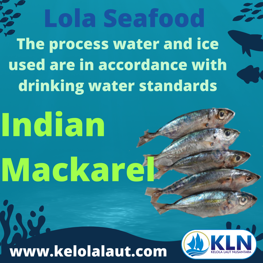 Indian Mackerel – water and ice used within the process are in accordance with drinking water standards