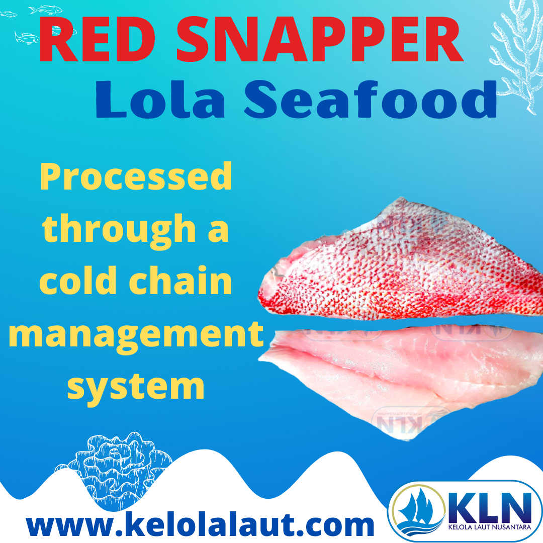 Red Snapper fillet processed through a cold chain management system