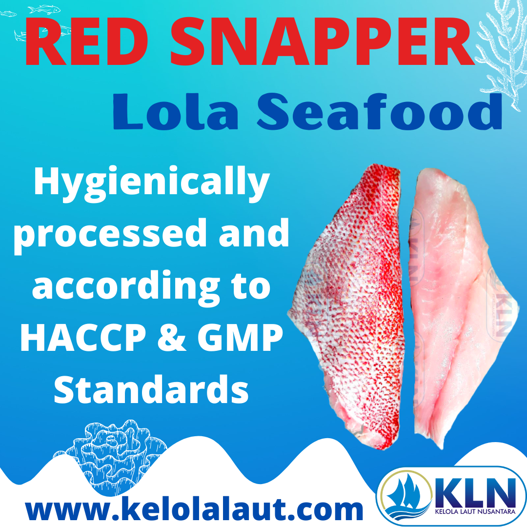 Red Snapper fillet hygienically process and according to HACCP & GMP Standards