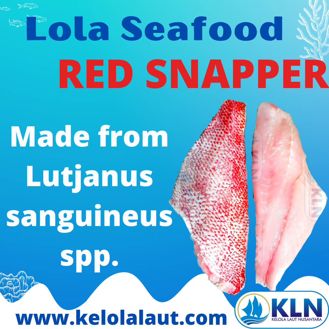 Red Snapper fillet made from Lutjanus sanguines spp