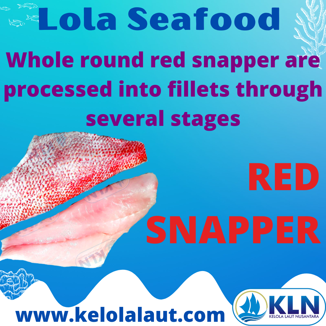 Red Snapper whole round are processed into fillets through several stages.