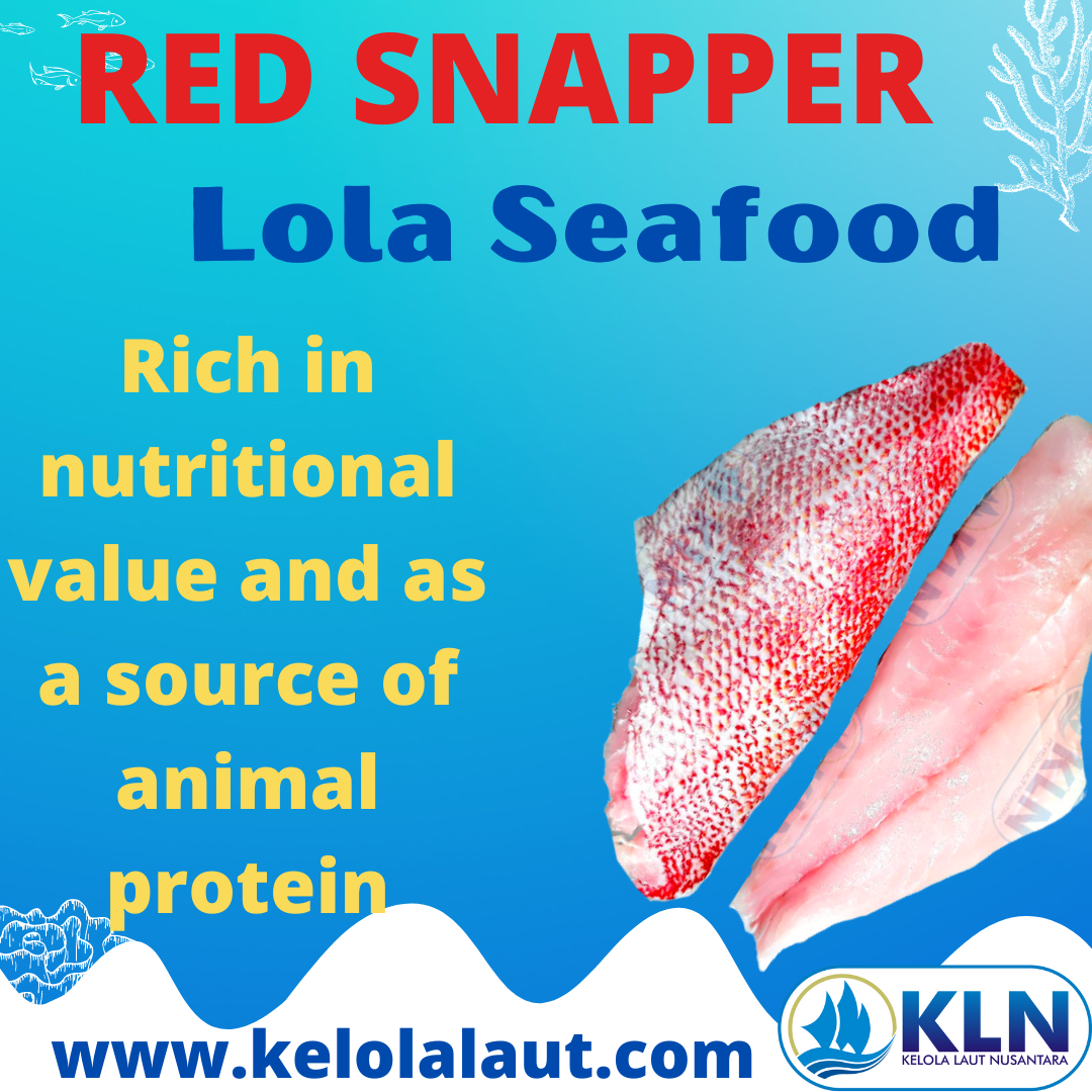 Red Snapper rich in nutritional value and as a source of animal protein