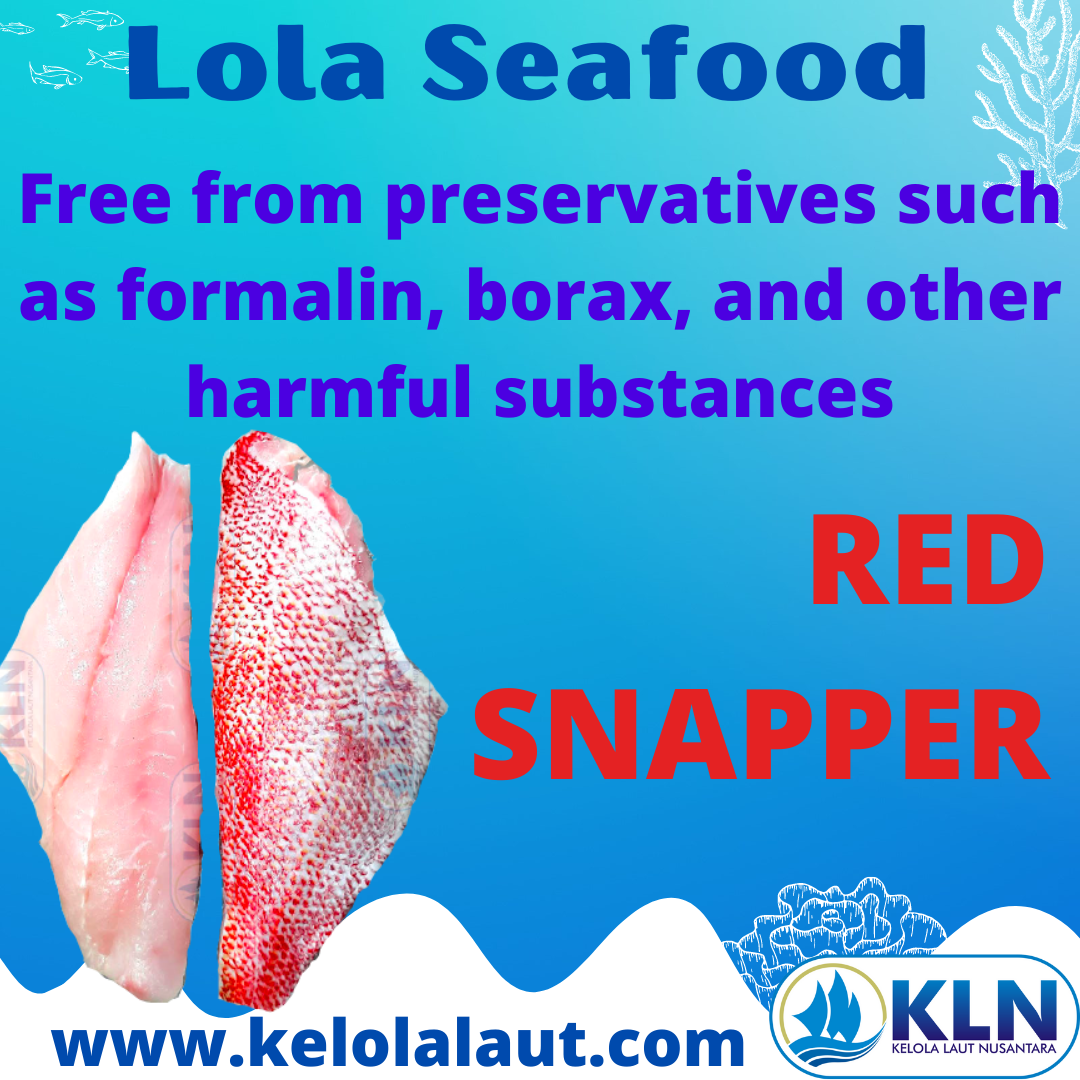 Red Snapper fillet from preservatives such as formalin, borax, and other harmful substances