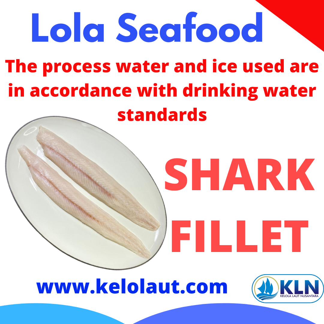 Shark Fillet processed with water and ice used in accordance with drinking water standards