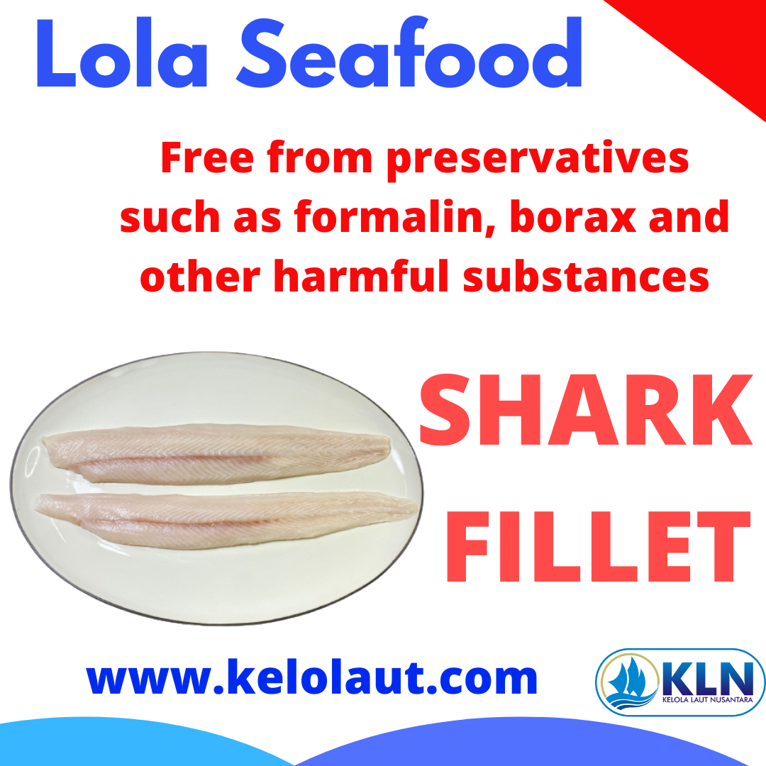 Shark Fillet free from preservatives and other harmful substances