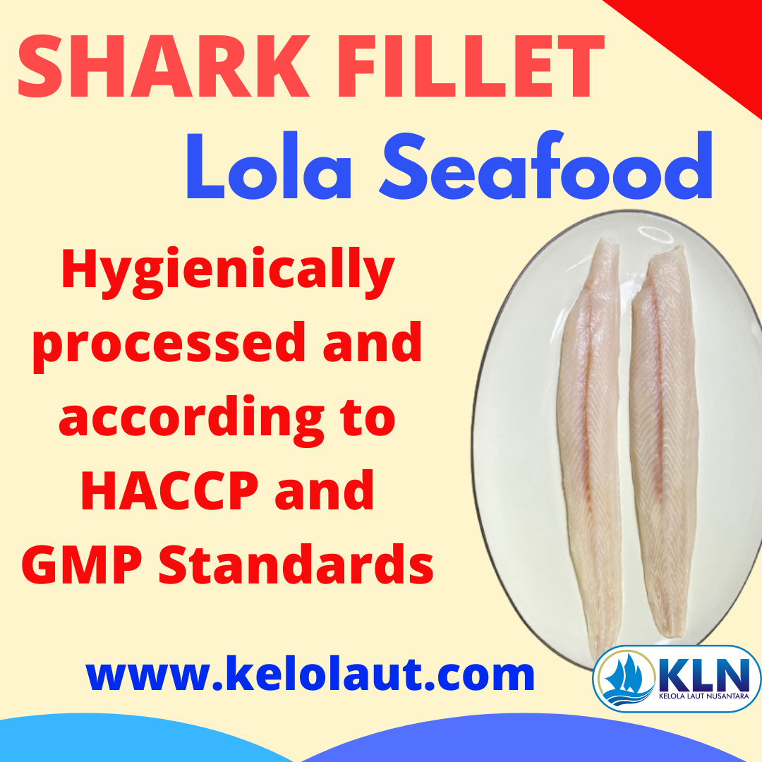 Shark fillet hygienically processed and according to HACCP and GMP Standards