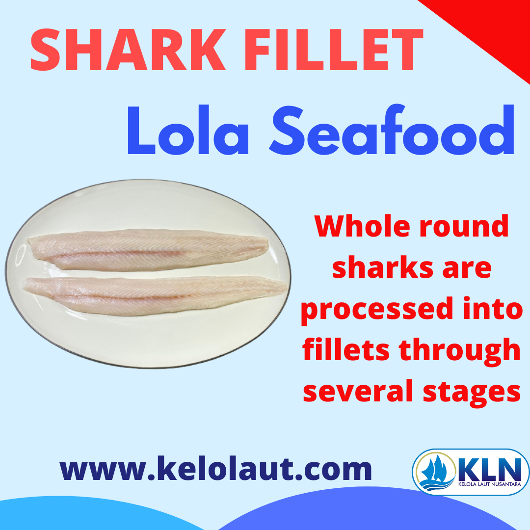 Shark Fillet whole round sharks are processed into fillets through several stages