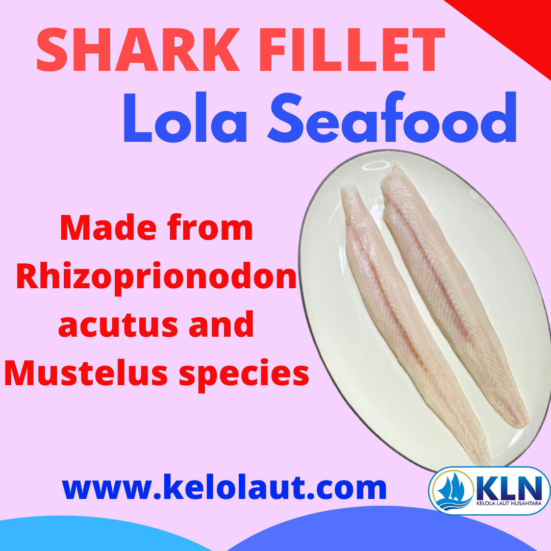 Shark Fillet are made from Rhizoprionodon acutus and Mustelus spp. species